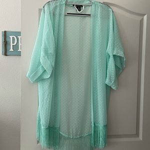 Aqua dotted Swiss coverup